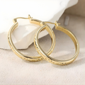 Golden Orbit Earrings